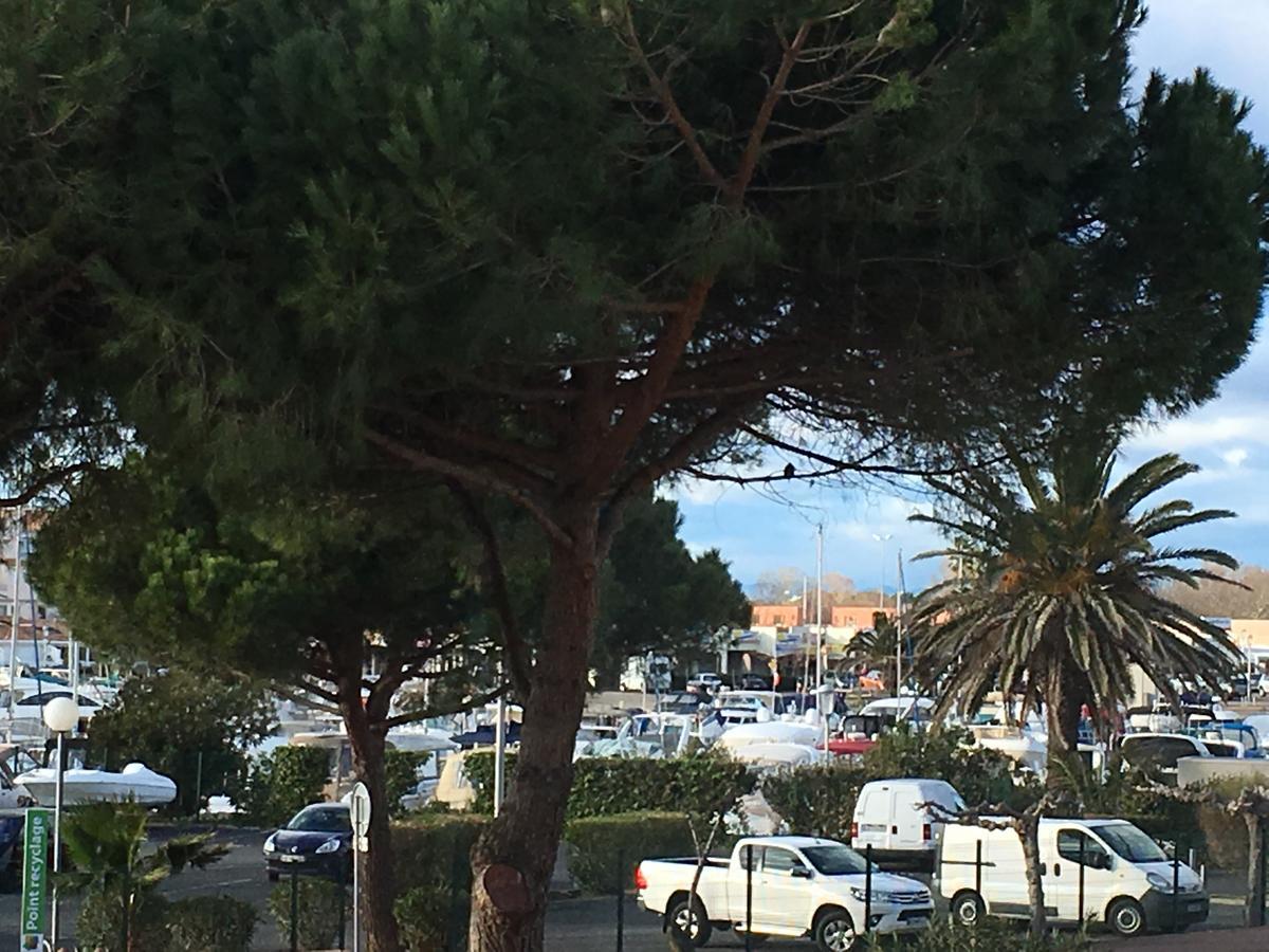 Au Coeur Du Village Naturiste Agde Kültér fotó